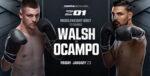 Zuffa-Boxing-1