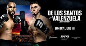 Zuffa-Boxing-8