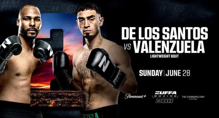 Zuffa-Boxing-8